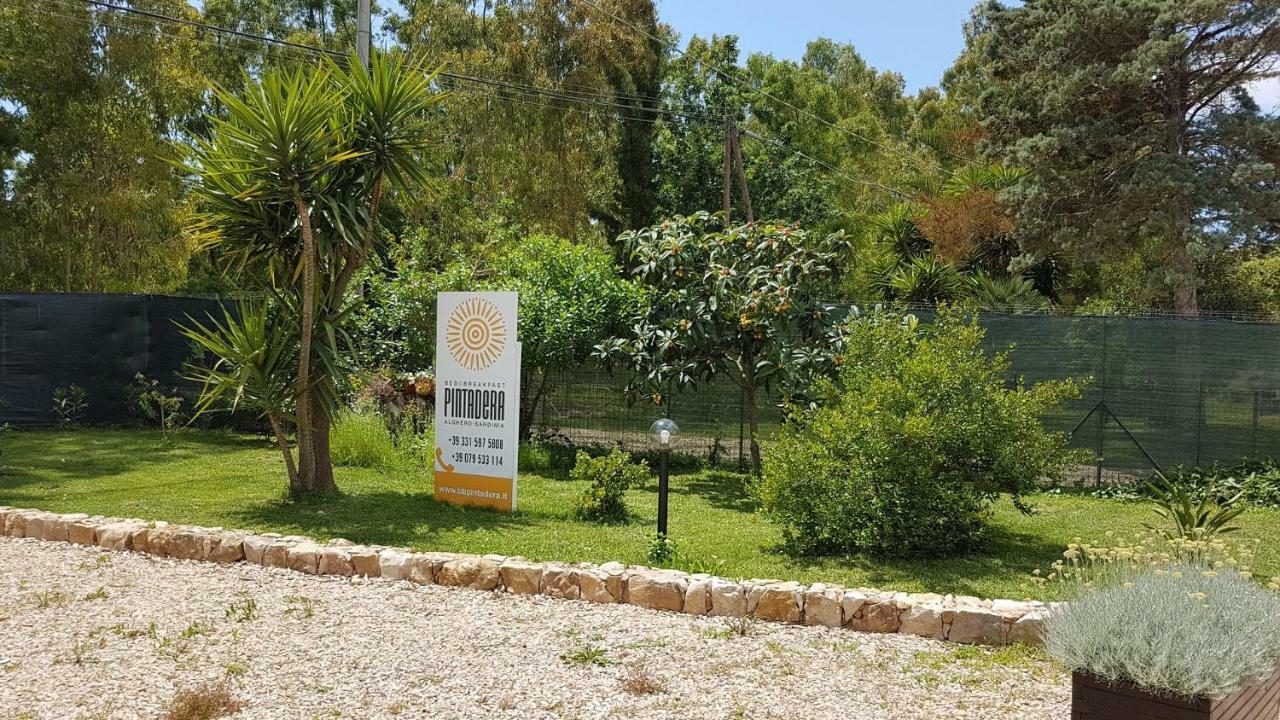 Guesthouse Pintadera Santa Maria la Palma Ngoại thất bức ảnh